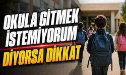 Çocuğunuz Okula Gitmek İstemiyorsa Nedeni Bu Olabilir
