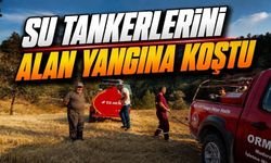 Bolu'da Köylüler Seferber Oldu, Ormanı Alevlerden Kurtardı