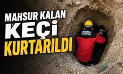 Çukura Düşen Keçinin İmdadına İtfaiye Yetişti