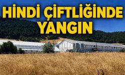Mudurnu'da GES Hattında Yangın Paniği