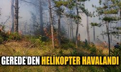 Bolu’da Orman Yangını! Ekipler Bölgeye Sevk Edildi