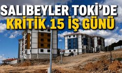 Salıbeyler TOKİ’de Enerji İçin Tarih Verildi