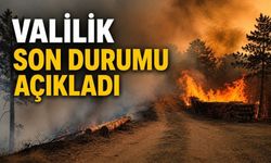 Bolu Valiliği Yangındaki Son Durumu Açıkladı