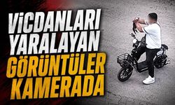 Bolu'da Hayvan Şiddeti Kameraya Yansıdı