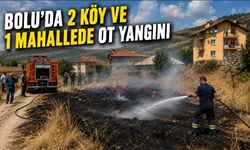 BOLU'DA 2 KÖY VE 1 MAHALLEDE OT YANGINI