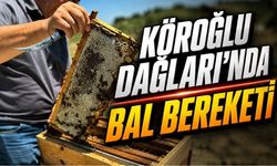 Bolu'da Endemik Bitkilerin Nektarı Bala Dönüştü