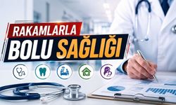 Bolu'da 6 Ayda Kaç Kişi Hastaneye Gitti? İşte Rakamlar
