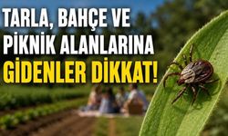 Bolu’da KKKA Uyarısı: Riskli Bölgeler Tek Tek Açıklandı
