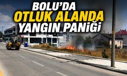 BOLU’DA OTLUK ALANDA YANGIN PANİĞİ
