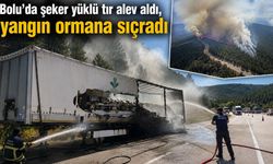 Bolu’da şeker yüklü tır alev aldı, yangın ormana sıçradı