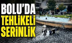 Bolu'da yasağa ve elektrik akımına aldırış etmeden süs havuzunda yüzdüler