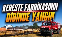 Alevler Kereste Fabrikasına Metreler Kala Durduruldu