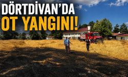 DÖRTDİVAN’DA OT YANGINI