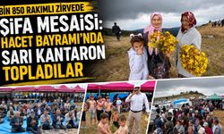 BİN 850 RAKIMLI ZİRVEDE ŞİFA MESAİSİ: HACET BAYRAMI'NDA SARI KANTARON TOPLADILAR