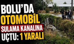 BOLU'DA OTOMOBİL SULAMA KANALINA UÇTU: 1 YARALI