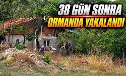 Bolu'da Baba ve Oğul Cinayetinin Zanlısı Ormanda Yakalandı
