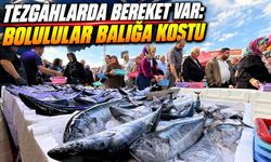 Balık Ucuzladı, Bolu’da Tezgâhların Önü Doldu