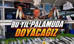 Bolu’da Balık Tezgahları Şenlendi