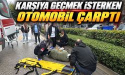 Bolu’da Yaya Otomobilin Çarpmasıyla Yaralandı