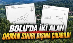 Bolu’da Orman Sınırı Dışına Çıkarılan Yerler Belli Oldu