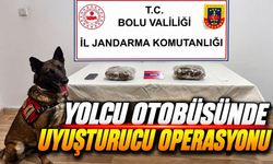 İstanbul’dan Ankara’ya Gidiyordu: Bolu’da Yakalandı