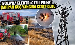 BOLU'DA ELEKTRİK TELLERİNE ÇARPAN KUŞ YANGINA SEBEP OLDU