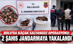 Bolu'da kaçak salyangoz operasyonu: 2 şahıs jandarmaya yakalandı