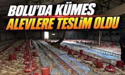 Göynük’te Kümes Yangını: 24 Bin Civciv Öldü