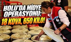 Belgesi Yok, Menşei Belirsiz! Bolu’da 650 Kilo Midye Yakalandı
