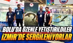 Bolu’nun Endemik Abant Alası İzmir’de Görücüye Çıktı