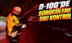 Polis D-100’de Araçları Tek Tek Durdurdu