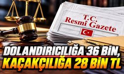 Bolu’da Dolandırıcılığa 36 Bin, Kaçakçılığa 28 Bin TL Ceza