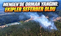 Bolu'da Gölet Çevresindeki Ormanlık Alanda Yangın Çıktı