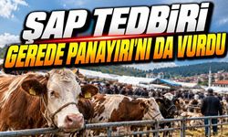 Şap Nedeniyle Bolu’da Hayvan Pazarları Kapatıldı