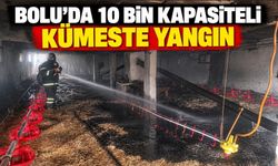 BOLU'DA 10 BİN KAPASİTELİ KÜMESTE YANGIN