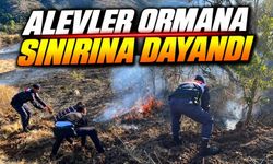 Gerede’de Otluk Alan Alevlere Teslim Oldu