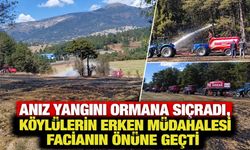 ANIZ YANGINI ORMANA SIÇRADI, KÖYLÜLERİN ERKEN MÜDAHALESİ FACİANIN ÖNÜNE GEÇTİ
