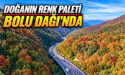 Bolu Dağı’ndan Geçenler Bu Manzaraya Hayran Kalıyor