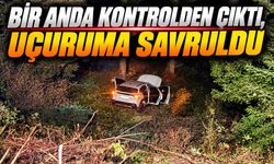 Direksiyon Hakimiyetini Kaybetti, 4 Kişi Hastanelik Oldu