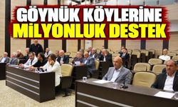 GÖYNÜK KÖYLERİNE MİLYONLUK DESTEK