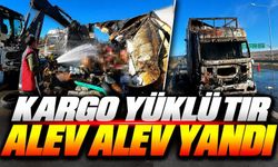 Seyir Halindeki Tır Bir Anda Alevlere Teslim Oldu