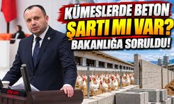 Akgül’den Bakanlığa: Bolu’da Kaç Kümese Yaptırım Uygulandı?