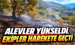 Mudurnu’da Otluk Arazi Alevlere Teslim Oldu