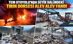TEM OTOYOLU'NDA SEYİR HALİNDEKİ TIRIN DORSESİ ALEV ALEV YANDI