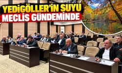 YEDİGÖLLER’İN SUYU MECLİS GÜNDEMİNDE