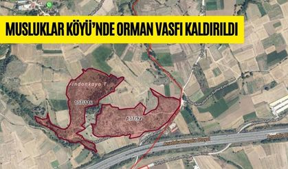 MUSLUKLAR KÖYÜ’NDE ORMAN VASFI KALDIRILDI