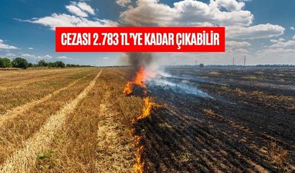 112’den Anız Yakma Uyarısı