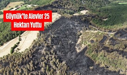 Göynük’te Alevler 25 Hektarı Yuttu