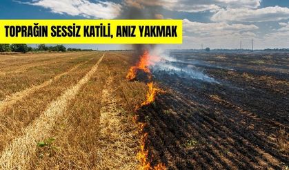 Anız Yangınları Verimi de Umudu da Tüketiyor