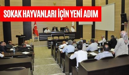 Bolu’da Sokak Hayvanları İçin Yeni Adım